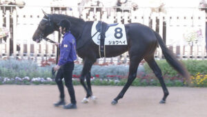 【競馬予想】[1]第65回きさらぎ賞(GⅢ)  /2025