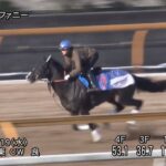 【小倉大賞典2025】追い切り/調教を見てわかる事