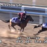【東京新聞杯2025】追い切り/調教を見てわかる事