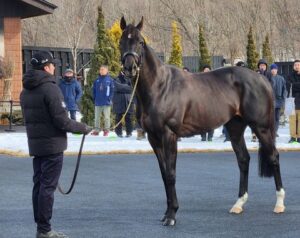 【競馬】シャフリヤール 日本より海外の方が評価が高かった