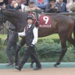 【競馬予想】[2]第65回きさらぎ賞(GⅢ)  /2025