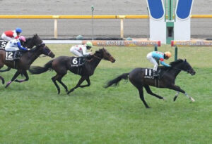 【セントポーリア賞】エネルジコ、ヤバすぎワロタｗｗｗ