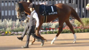 【競馬予想】第69回阪急杯(GⅢ) /2025