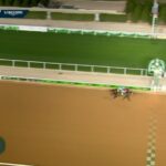 【サウジカップ2025】結果・動画/フォーエバーヤングが差し返し優勝