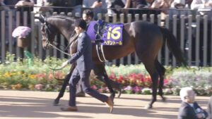 【競馬予想】第75回ダイヤモンドステークス(GⅢ)  /2025