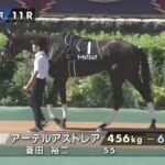 アーテルアストレア、怒りの引退撤回！