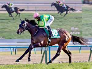 サトノシャイニングは西村淳也で皐月賞に直行