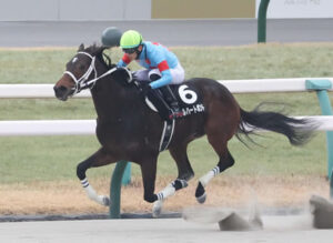 【舞鶴S】ダブルハートボンド強すぎワラタ