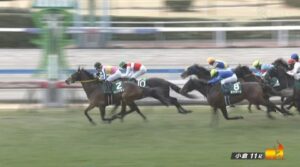 【競馬】小倉大賞典は丹内騎乗のロングランがV