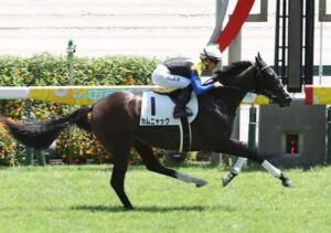 【エルフィンS】カムニャック川田も酷すぎｗｗｗｗ