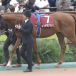 【競馬予想】[2]第59回共同通信杯(GⅢ) /2025