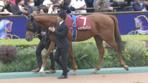 【競馬予想】[2]第59回共同通信杯(GⅢ) /2025