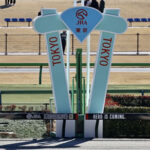 【競馬予想】[4]第42回 フェブラリーステークス(GI)  /2025