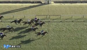 【競馬】東京新聞杯は菅原明騎乗のウォーターリヒトがＶ　ボンドガール2着
