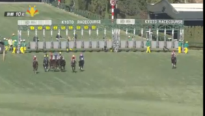 【エルフィンS】ダノンフェアレディ、スタートして外に吹っ飛ぶ