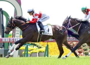 【エルフィンS】ダノンフェアレディとは何だったのか