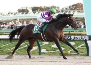 横山武史のエンペラーワケアの先約とは何だったのか