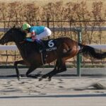 ヤマニンウルス、一転してフェブラリーSへ