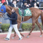 【競馬予想】[1]第75回東京新聞杯(GⅢ) /2025