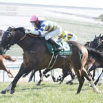 【阪急杯】カンチェンジュンガ直線大外一気差し切り!重賞初勝利