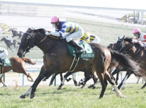 【阪急杯】カンチェンジュンガ直線大外一気差し切り！重賞初勝利