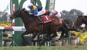 【京都記念】5番人気ヨーホーレイクがVで重賞3勝目　1番人気チェルヴィニアは9着