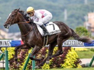 ピコチャンブラック石橋脩とコンビ復活、弥生賞かスプリングSへ