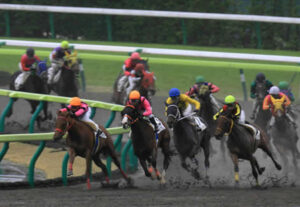 このレースは◯番人気の馬が好走する傾向にある←これ