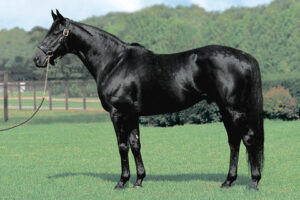 サンデーサイレンス16歳没　ディープインパクト17歳没⇐これ