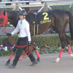 【競馬予想】[1]第99回中山記念(GⅡ) /2025