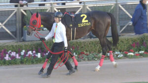 【競馬予想】[1]第99回中山記念(GⅡ) /2025