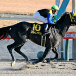 【競馬予想】[2]第39回根岸ステークス(GⅢ) /2025