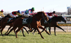 ボンドガール、１勝馬最多賞金への道