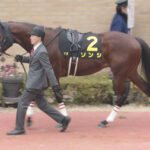 【競馬予想】[2]第30回シルクロードステークス(GⅢ) /2025