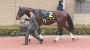 【競馬予想】[2]第30回シルクロードステークス(GⅢ) /2025