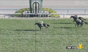 【競馬】きさらぎ賞は西村淳騎乗のサトノシャイニングがＶ