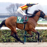 令和の名種牡馬ロードカナロア 3週連続重賞V