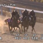 【京都記念2025】追い切り/動きを見極め勝利に近づけ