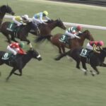 【クイーンカップ2025】出走予定馬・騎手/女王への道