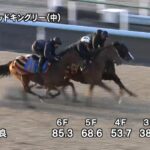 【共同通信杯2025】追い切り/動きからレースを紐解く