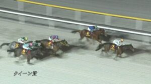 【クイーン賞2025】結果・動画/オーサムリザルトが断然人気に応え完勝
