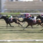 【競馬】【悲報】ディープインパクト産駒 今年未だに重賞未勝利