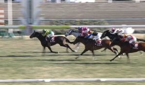 【競馬】【悲報】ディープインパクト産駒　今年未だに重賞未勝利