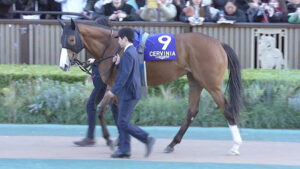 【京都記念】チェルヴィニアあまりに弱すぎて草