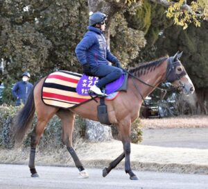 京都記念と共同通信杯