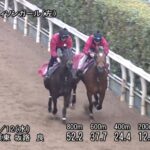 【クイーンカップ2025】追い切り/調教を見てわかる事