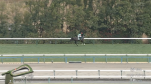 【シルクロードS】エイシンフェンサー＆川又騎手がｷﾀ━━━━(ﾟ∀ﾟ)━━━━!!
