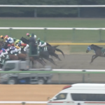 【根岸S】コスタノヴァ&横山武史騎手がキタ━━━━(゚∀゚)━━━━!!