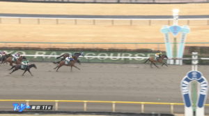 コスタノヴァは次走誰のるんや　他