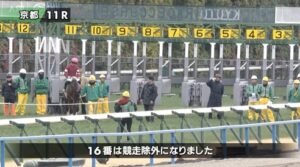 【シルクロードS】ソンシ競走除外